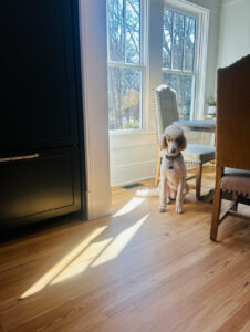 southend-reclaimed-select-grade-antique-heart-pine-flooring-11