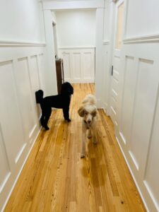 southend-reclaimed-select-grade-antique-heart-pine-flooring-6