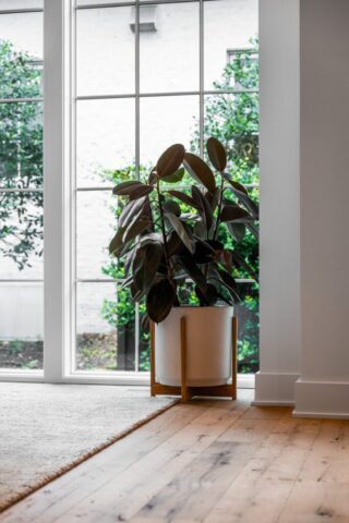 southend-reclaimed-reclaimed-antique -white-oak-flooring-smooth-face-62