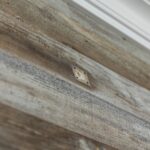 Weathered Grey Barnsiding Wall Paneling
